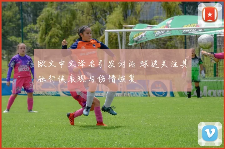 欧文中文译名引发讨论 球迷关注其独行侠表现与伤情恢复