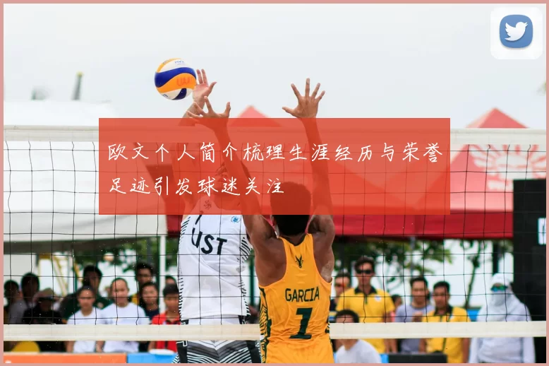 欧文个人简介梳理生涯经历与荣誉足迹引发球迷关注