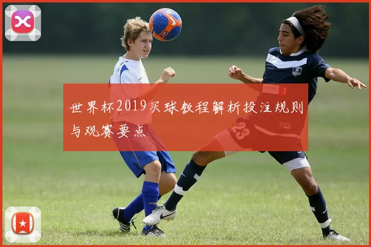 世界杯2019买球教程解析投注规则与观赛要点