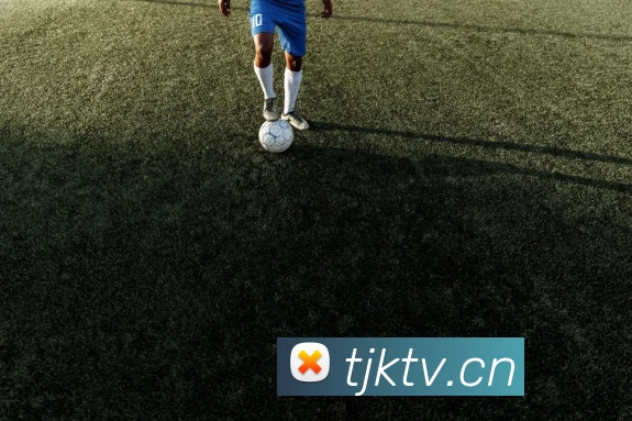 九游·官方版web站入口 - Jiuyou j9(中国)APP 封面图